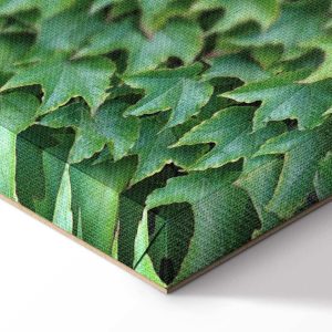 Tableau - Thick Ivy (1 Part) Vertical