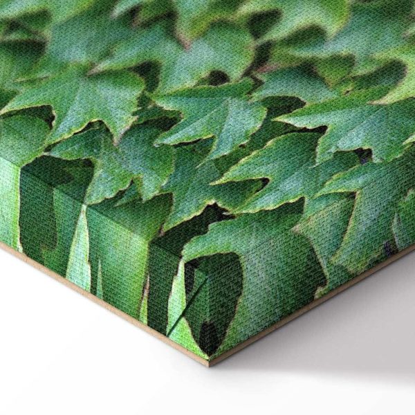 Tableau - Thick Ivy (1 Part) Vertical