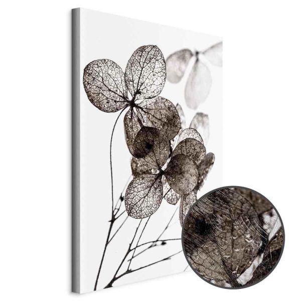 Tableau - Transparent Clover (1 Part) Vertical