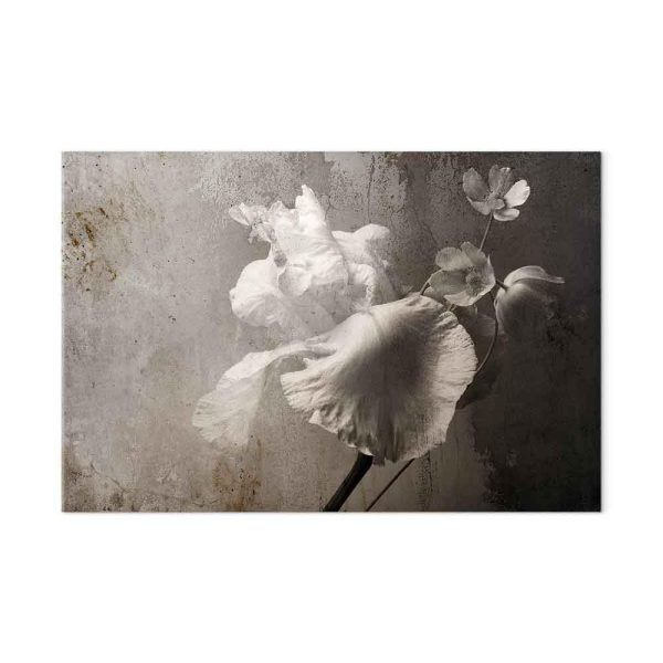 Tableau - Venetian Splendor (1 Part) Wide