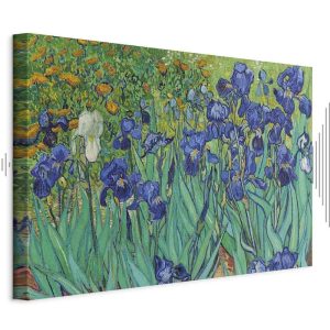 Tableau - Vincent Van Gogh – Iryses