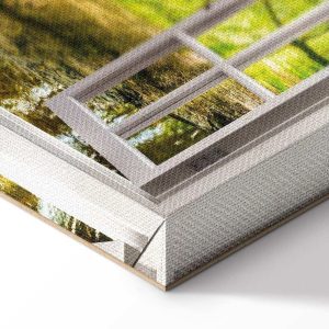 Tableau - Window: View on Forest