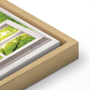 Tableau - Window: View on Forest