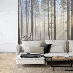 Papier Peint Forêt Dans Le Brouillard – Image 6