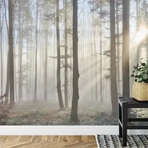 Papier Peint Forêt Dans Le Brouillard – Image 7