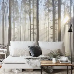 Papier Peint Forêt Dans Le Brouillard – Image 3