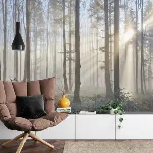 Papier Peint Forêt Dans Le Brouillard – Image 4