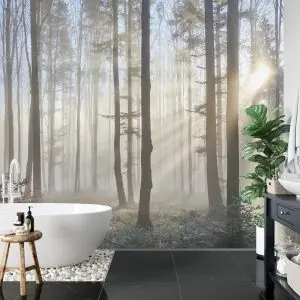Papier Peint Forêt Dans Le Brouillard – Image 5