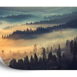 Papier Peint Forêt Dans Le Brouillard – Image 2