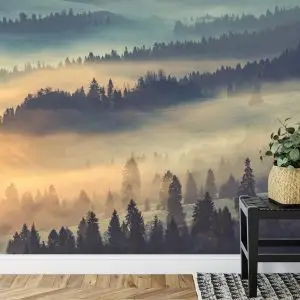 Papier Peint Forêt Dans Le Brouillard – Image 7