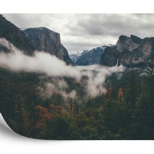 Papier Peint Forêt Dans Le Brouillard – Image 2