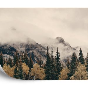 Papier Peint Forêt Dans Le Brouillard – Image 2