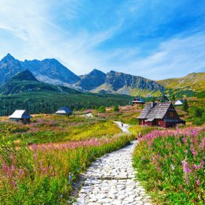 Papier Peint Montagnes – Image 1