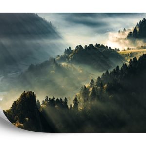 Papier Peint Forêt Dans Le Brouillard – Image 2