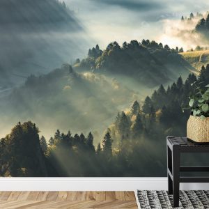 Papier Peint Forêt Dans Le Brouillard – Image 7