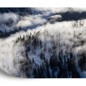 Papier Peint Forêt Dans Le Brouillard – Image 2