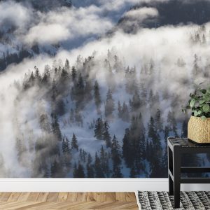 Papier Peint Forêt Dans Le Brouillard – Image 7