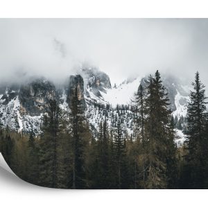 Papier Peint Forêt Dans Le Brouillard – Image 2