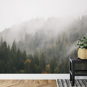 Papier Peint Forêt Dans Le Brouillard – Image 7