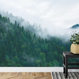 Papier Peint Forêt Dans Le Brouillard – Image 7