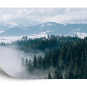 Papier Peint Forêt Dans Le Brouillard – Image 2