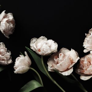 Papier Peint Pivoines Et Feuilles Vertes – Image 1