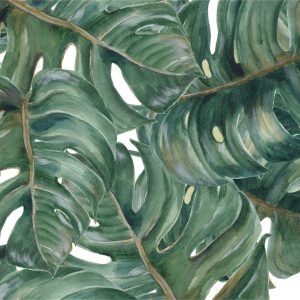 Papier Peint Feuilles De Monstera Aquarelle – Image 1