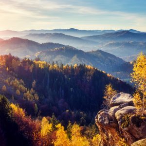 Papier Peint Paysage Montagnes Forêt – Image 1
