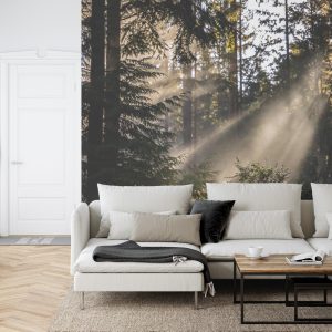 Papier Peint Forêt Dans Le Brouillard – Image 6