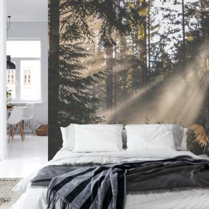 Papier Peint Forêt Dans Le Brouillard – Image 8