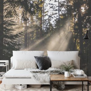 Papier Peint Forêt Dans Le Brouillard – Image 3