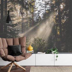 Papier Peint Forêt Dans Le Brouillard – Image 4