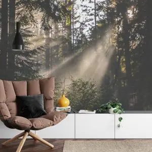 Papier Peint Forêt Dans Le Brouillard – Image 4
