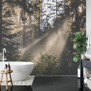 Papier Peint Forêt Dans Le Brouillard – Image 5