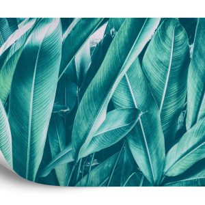 Papier Peint Feuilles Vintage Exotiques – Image 2