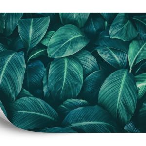 Papier Peint Feuilles Tropicales Sombres – Image 2