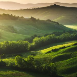 Papier Peint Paysage Champ 3D – Image 1