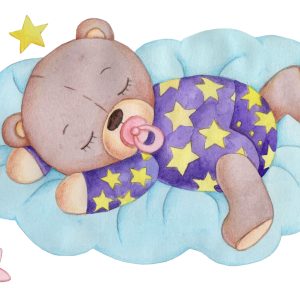 Papier Peint Ours Endormi – Image 1