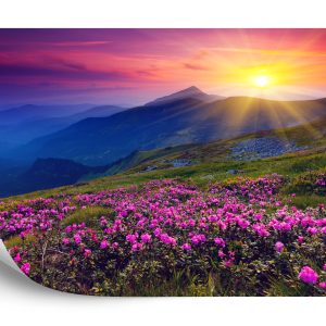 Papier Peint Paysage Fleurs – Image 2