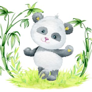 Papier Peint Panda Et Bambou – Image 1