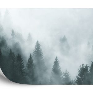 Papier Peint Forêt Dans Le Brouillard – Image 2