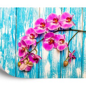 Papier Peint Orchidées Sur Fond De Planches – Image 2