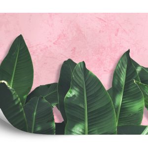 Papier Peint Plantes Tropicales Sur Fond Rose – Image 2