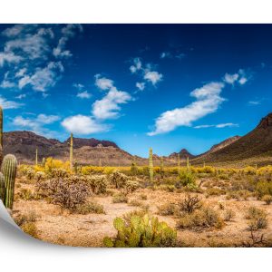 Papier Peint Paysage Désert – Image 2