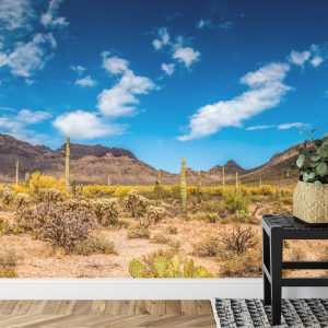 Papier Peint Paysage Désert – Image 7