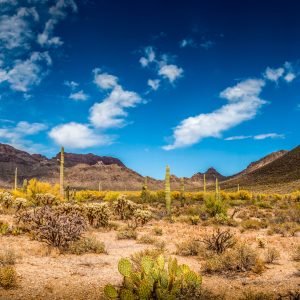 Papier Peint Paysage Désert – Image 1