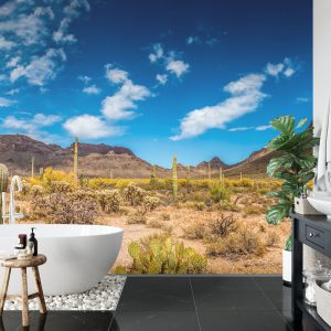 Papier Peint Paysage Désert – Image 5