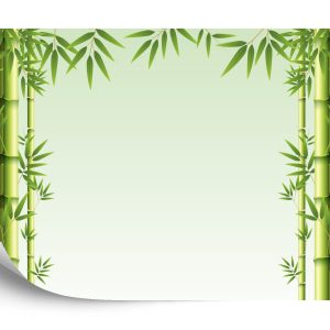 Papier Peint Foret De Bambou – Image 2