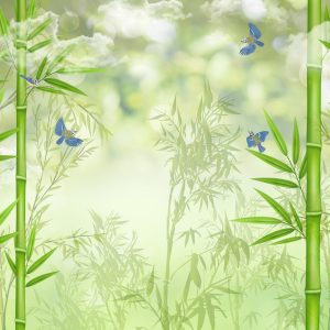 Papier Peint Forêt De Bambous Et Oiseaux – Image 1