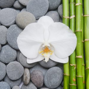 Papier Peint Bambou Avec Pierres Et Orchidées – Image 1